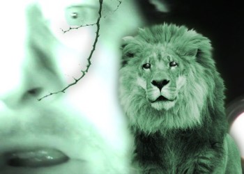 Hamptons Lion Video Graphic