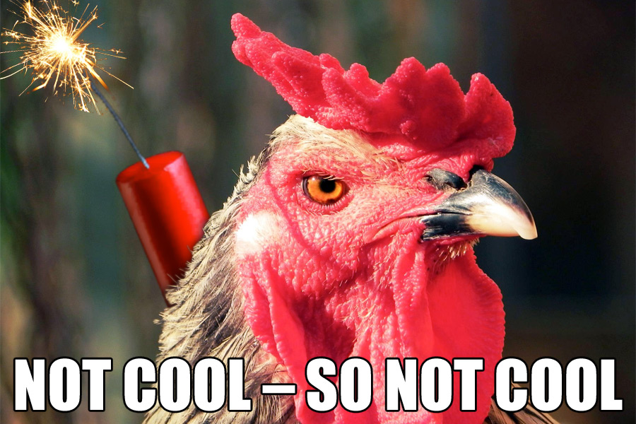 Angry Rooster Dynamite Meme