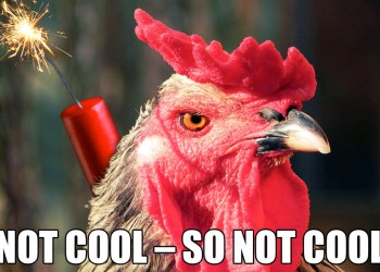 Angry Rooster Dynamite Meme