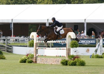 Karen Polle and With Wings