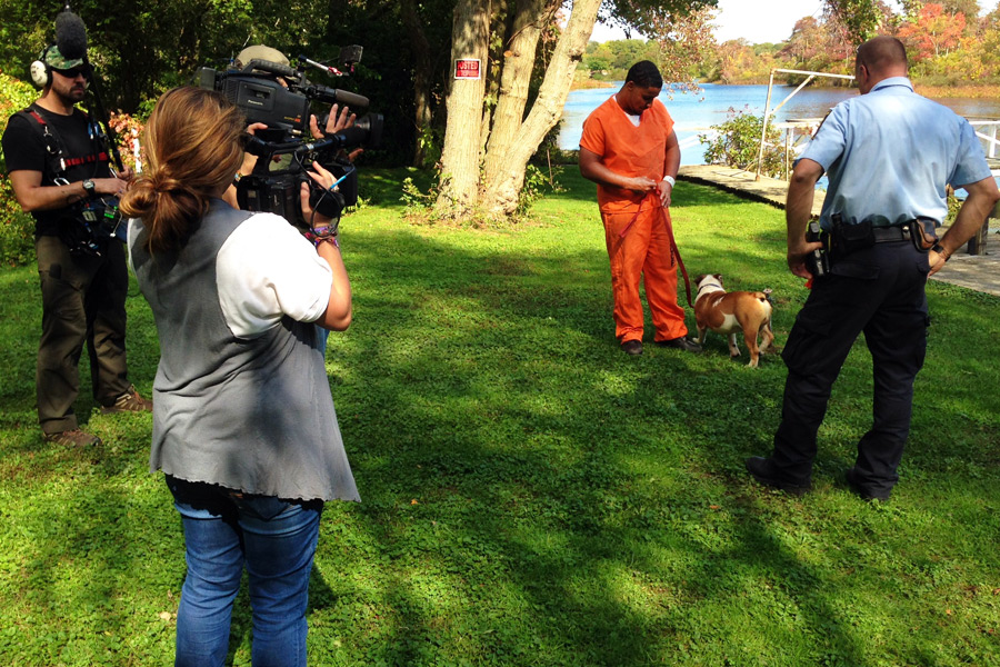 MSNBC films "Lockup" at Kent Animal Shelter