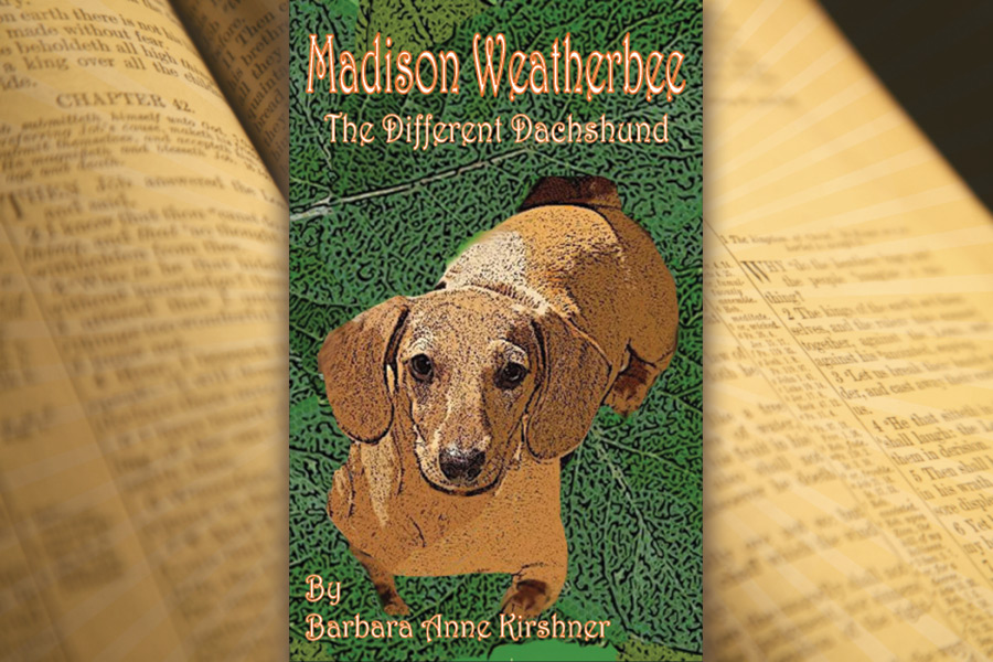 Madison Weatherbee–The Different Dachshund book cover, Barbara Anne Kirshner,