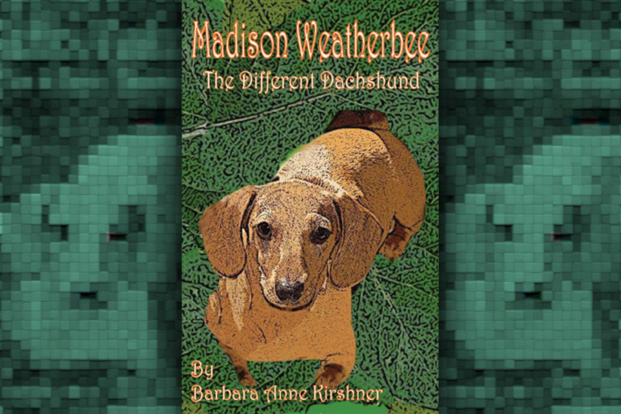 Madison Weatherbee–The Different Dachshund by Barbara Anne Kirshner