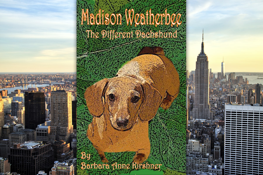 Madison Weatherbee—The Different Dachshund cover with New York City background