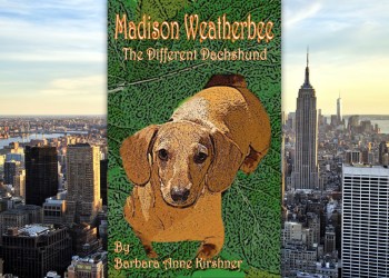 Madison Weatherbee—The Different Dachshund cover with New York City background