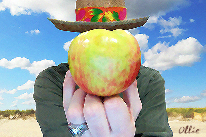 Magritte Honeycrisp Apple and Hat Painting Picture