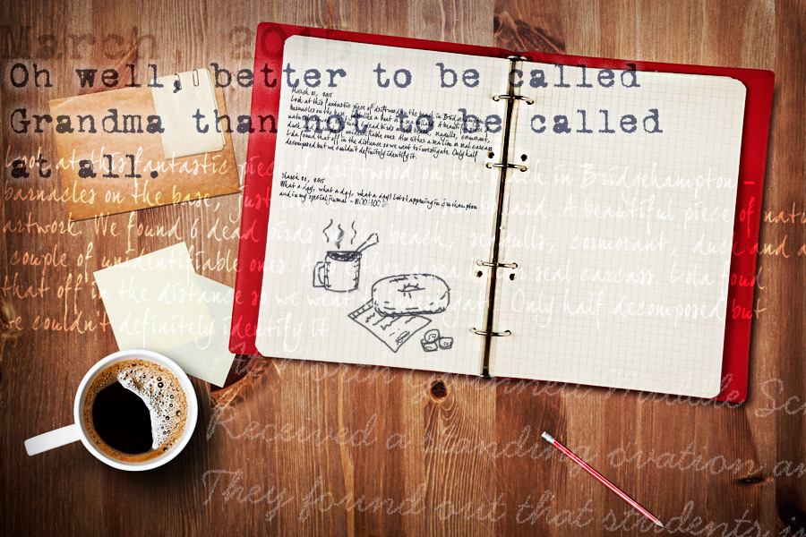 Southampton Historical Museum Journal Project