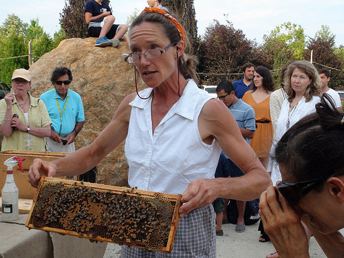 Beekeeper Mary Woltz at Marders