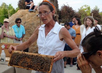 Beekeeper Mary Woltz at Marders