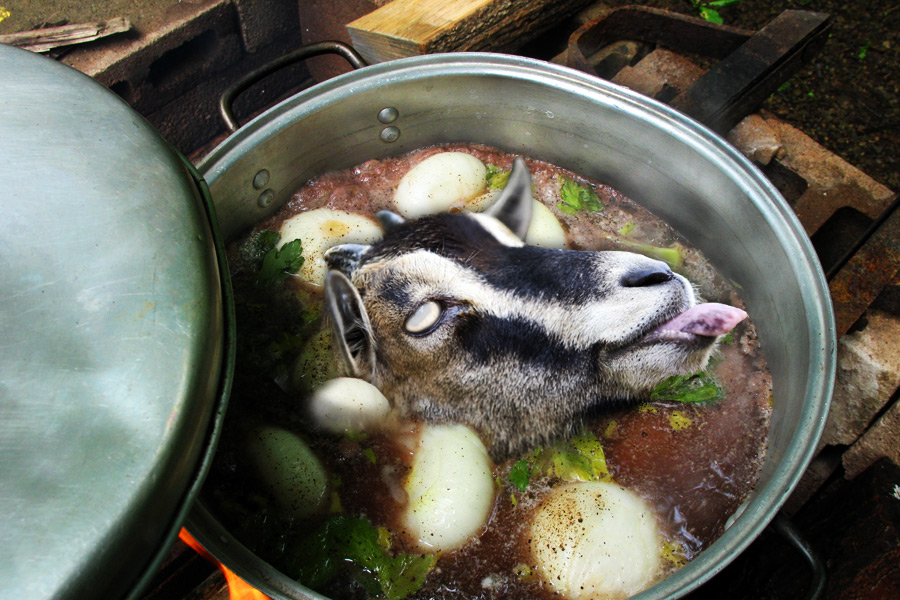 Old Man McGumbus's famous Shelter Island-Style Goat Chowder