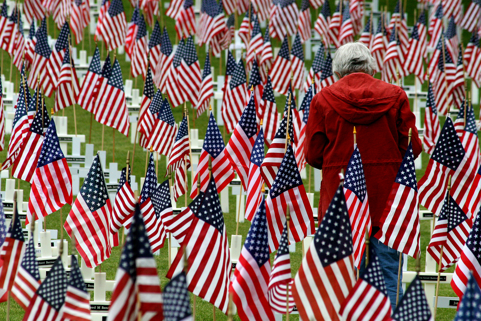 Memorial Day flags cemetery