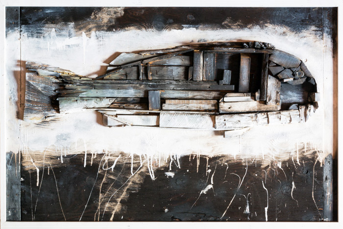 Fish assemblage by Mica Marder