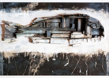 Fish assemblage by Mica Marder