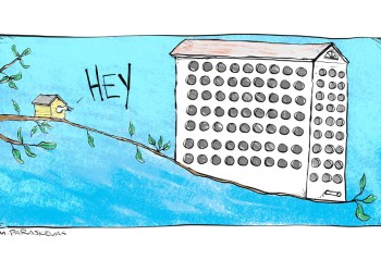 Mickey Paraskevas Cartoon - Little Stories