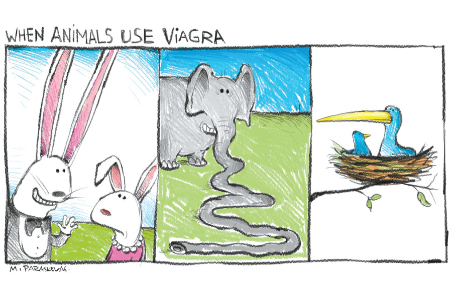 Mickey Paraskevas Cartoon Viagra