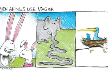 Mickey Paraskevas Cartoon Viagra