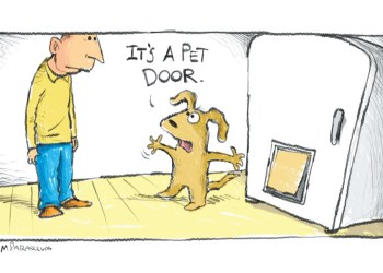 Mickey Paraskevas Pet Door Cartoon