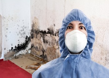 Mold removal is vital during hurricane season!