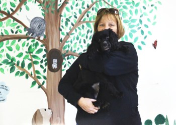 Kent Animal Shelter finds Molly a home