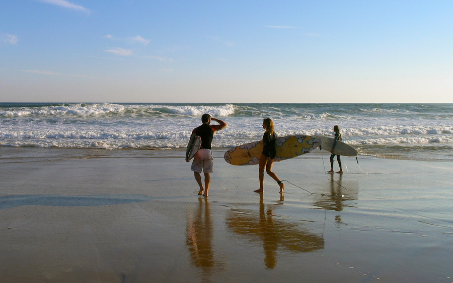 Surfing