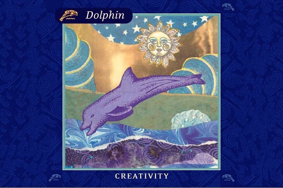 Amy Zerner dolphin card