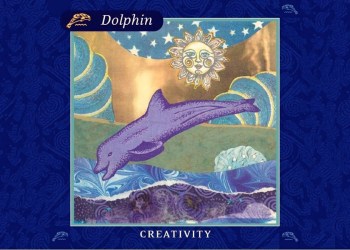 Amy Zerner dolphin card