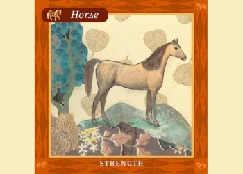 Amy Zerner Horse Card
