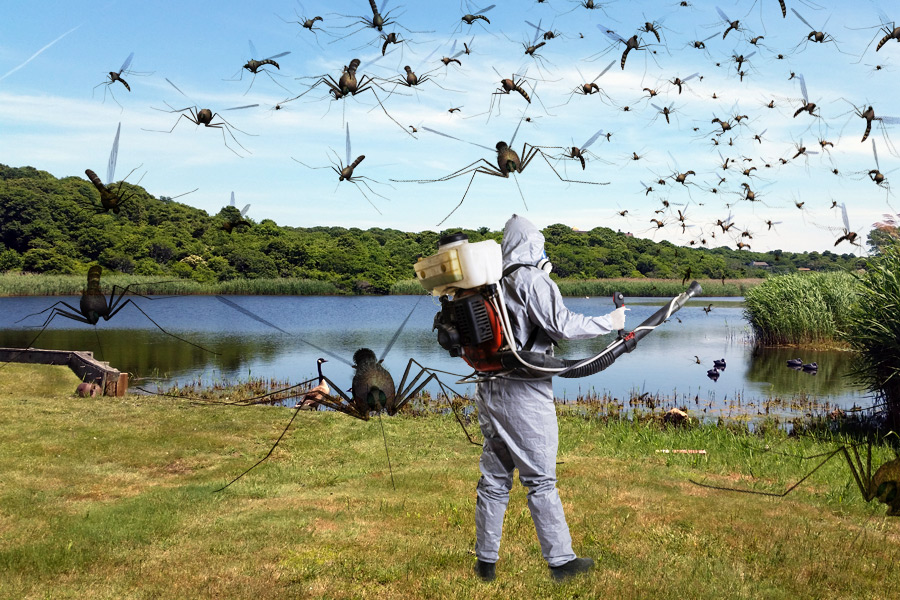 "Spraying" mosquitoes in the Hamptons