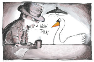 Mute Swan Cartoon By Mickey Paraskevas