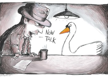 Mute Swan Cartoon By Mickey Paraskevas