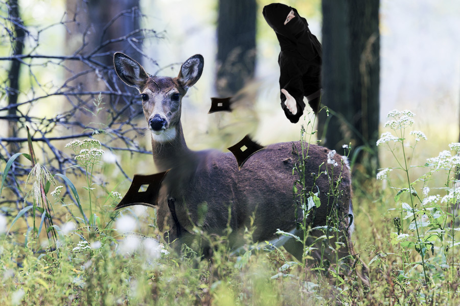 The Special Weapons "Shuriken" micro-season for deer hunting begins on January 15