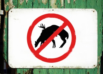 MILF signs promote deer celibacy