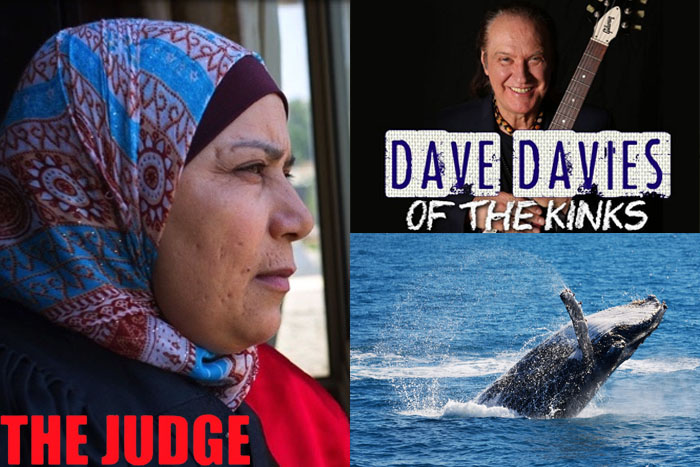 "The Judge," Dave Davies, whale