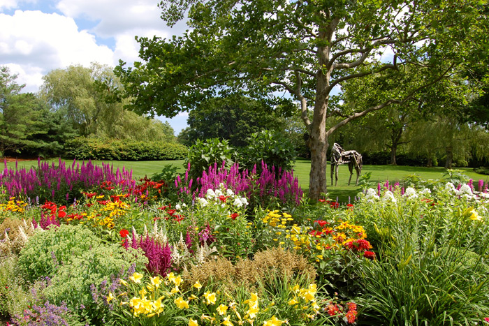 Flowers add beauty to a garden