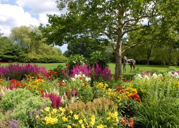 Flowers add beauty to a garden