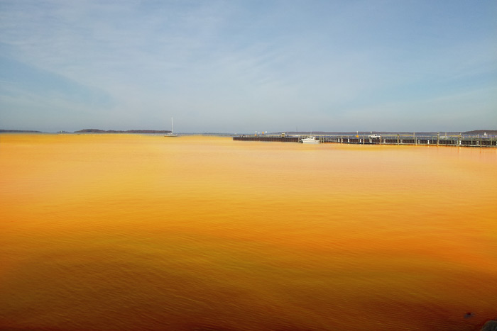 Hamptons officials are considering dyeing Peconic Bay orange