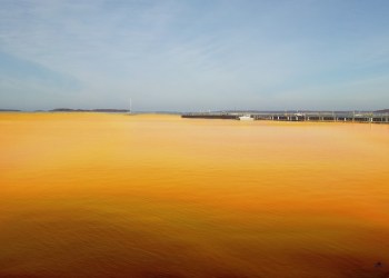 Hamptons officials are considering dyeing Peconic Bay orange