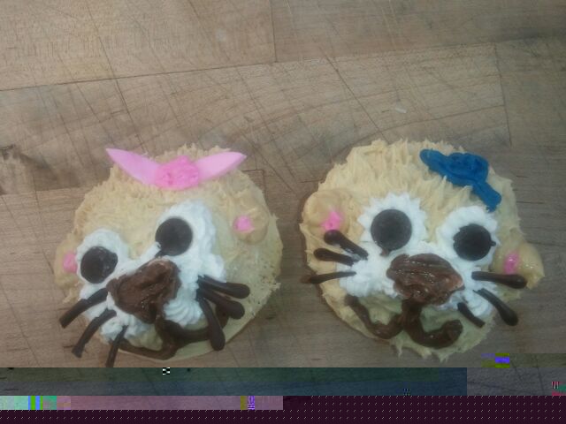 Otter cupcakes