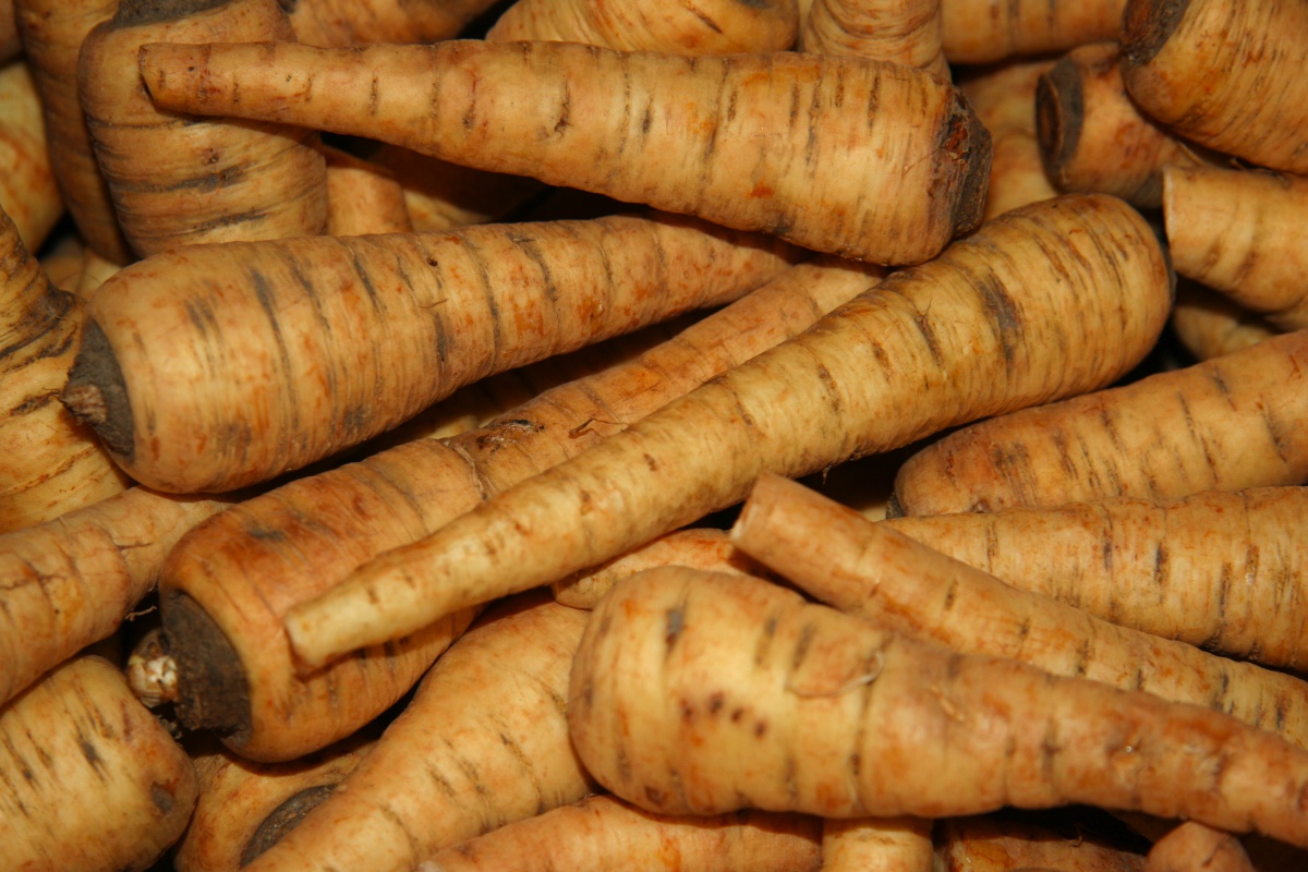 Parsnips: