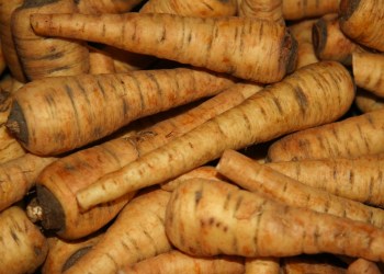 Parsnips: