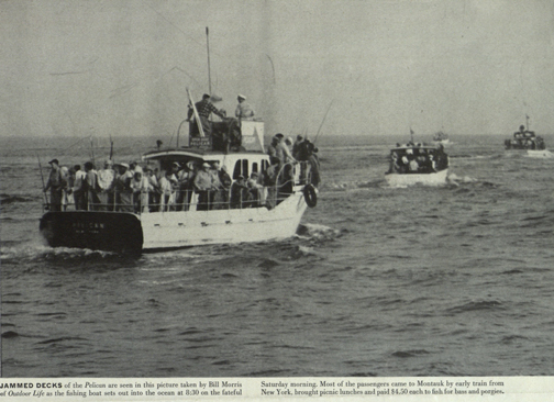 PelicanUSE Disaster leaves Montauk, Sept. 1, 1951. Photo by Bill Morris, Outdoor Life