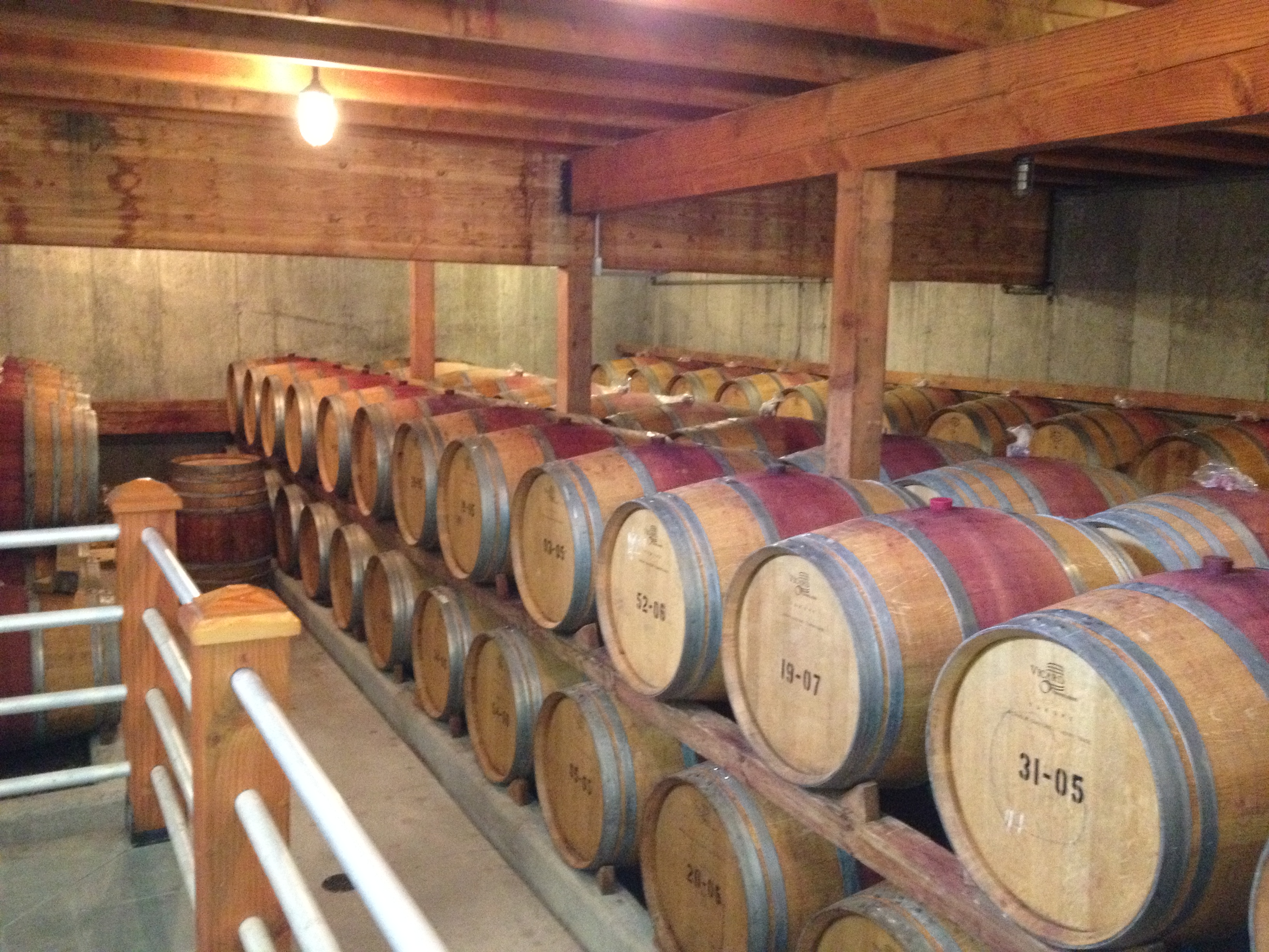 Pellegrini wine barrels