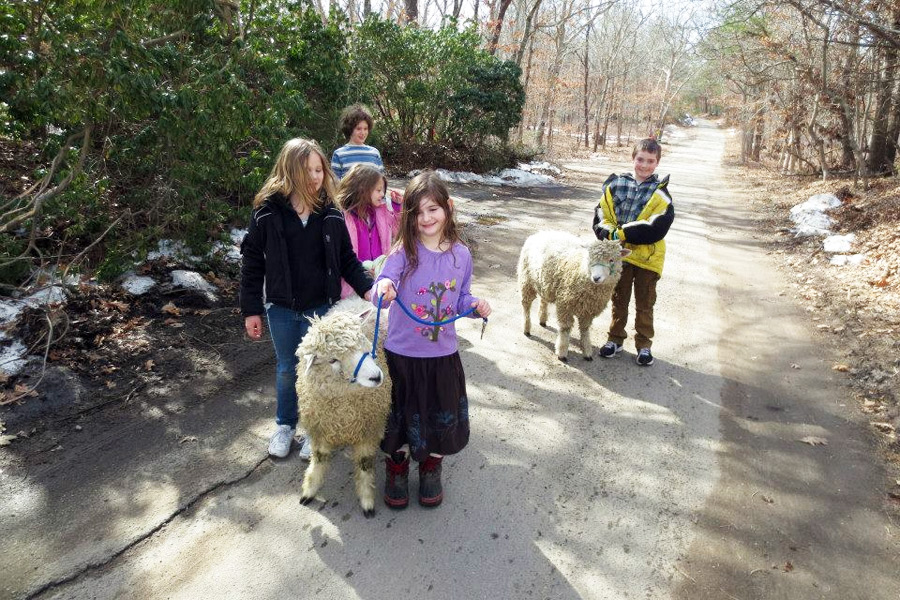 Pioneer Kids at Sweet Woodland Farm