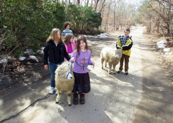 Pioneer Kids at Sweet Woodland Farm