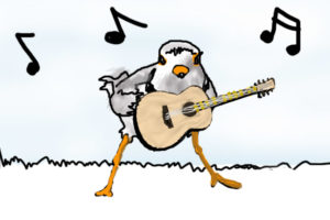 The Piping Plovers once rocked harder than most