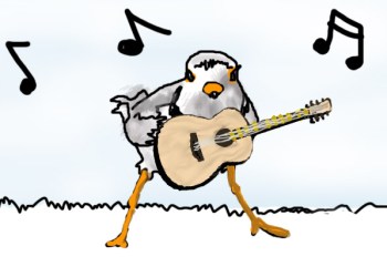 The Piping Plovers once rocked harder than most
