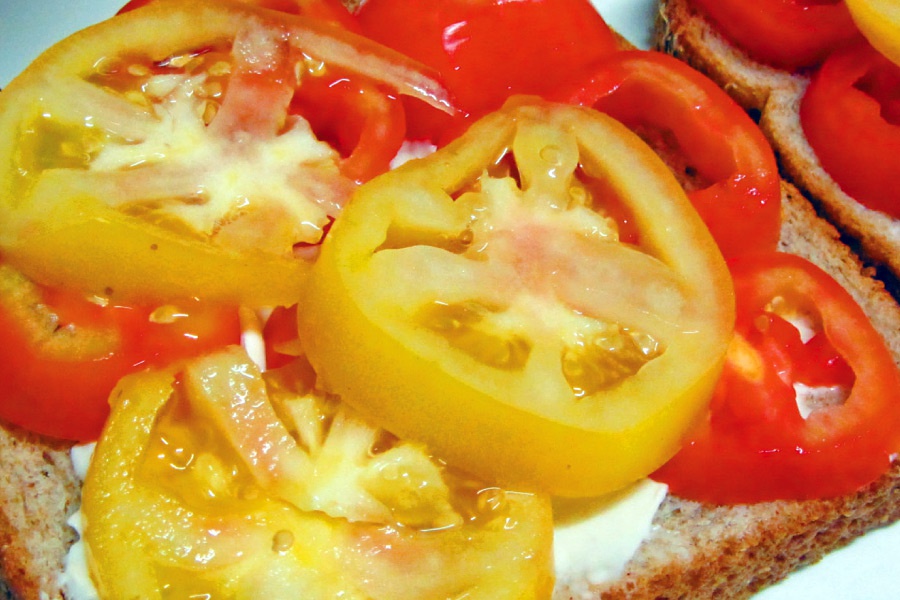 Plain Tomato Sandwich with Mayo