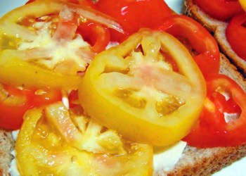 Plain Tomato Sandwich with Mayo