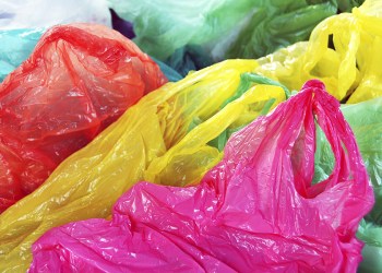 Use your phone to reuse and recycle this summer