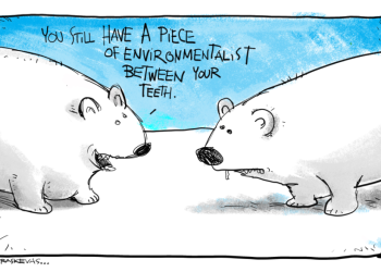 Polar Bears